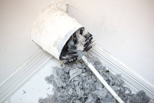 Best Air Duct Mold Removal  in Whitefish, MT